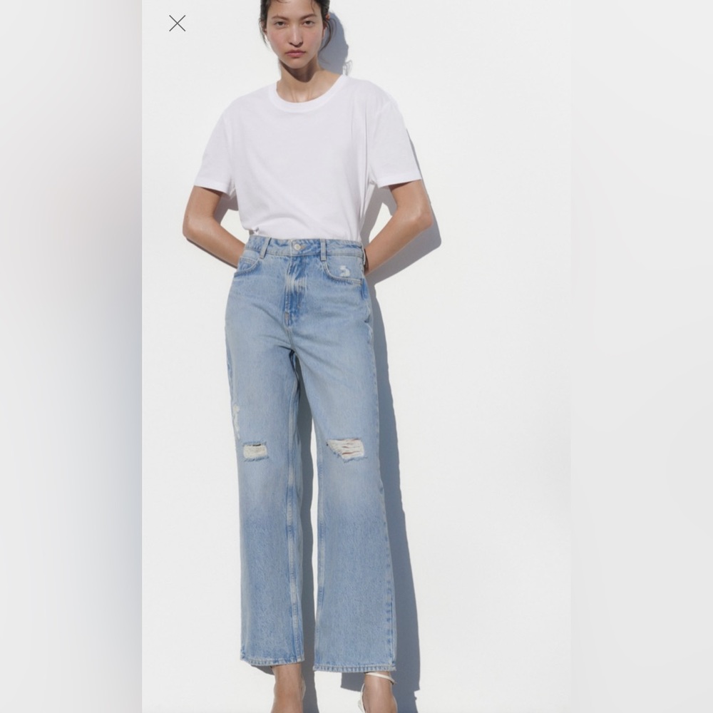 Zara Highwaisted Raw Edge Crop